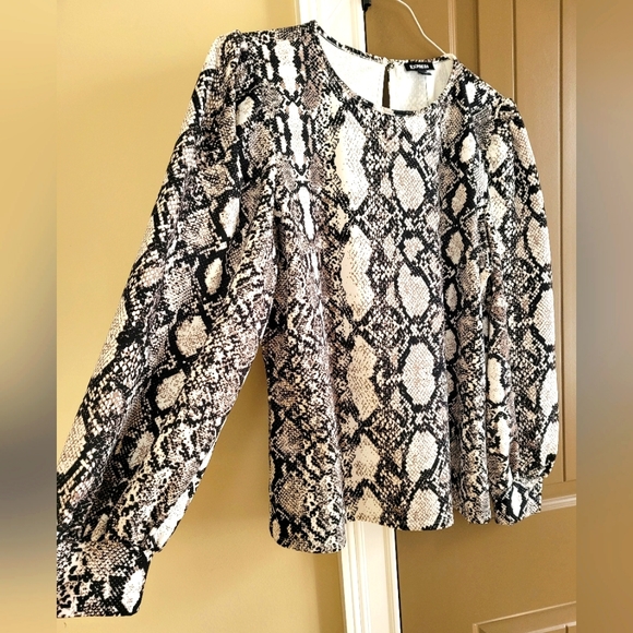 Express SnakeskinTop - Picture 1 of 5